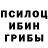 Псилоцибиновые грибы Psilocybe Pluggedcloud