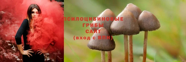 амф Алексеевка