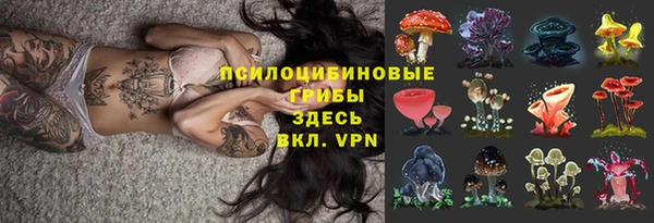 героин Алексин