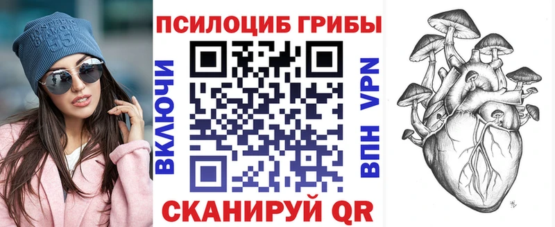 Галлюциногенные грибы GOLDEN TEACHER  OMG ссылка  Грязи 